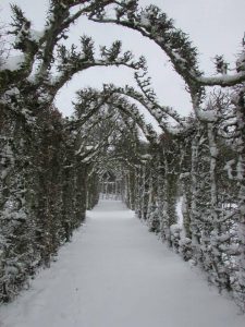 Image of Birr Castle Gardens in Winter with snow