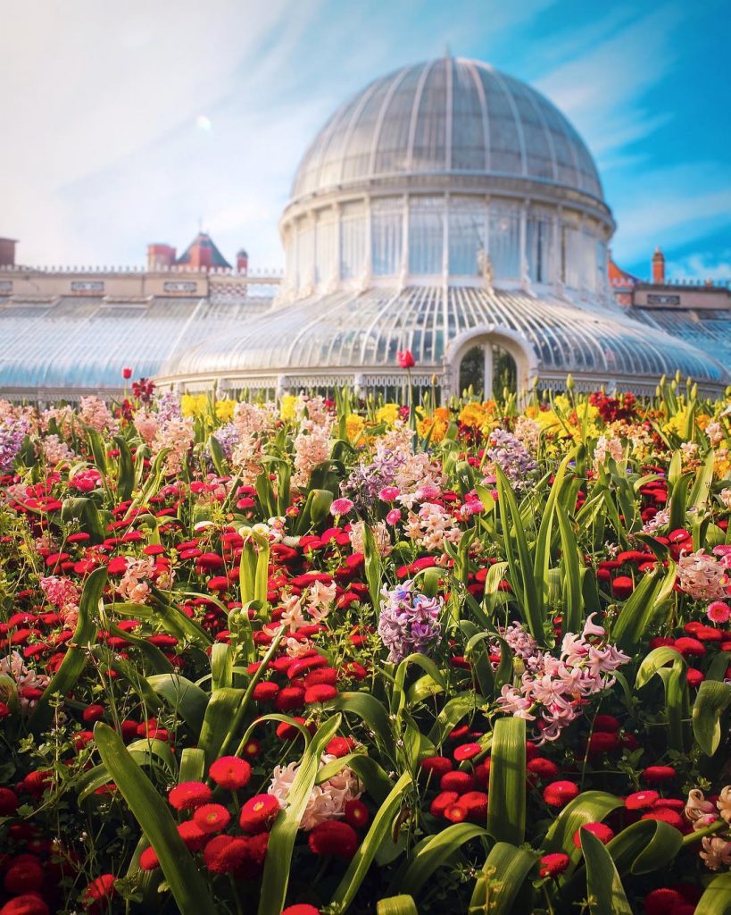 Belfast-Botanic-Gardens