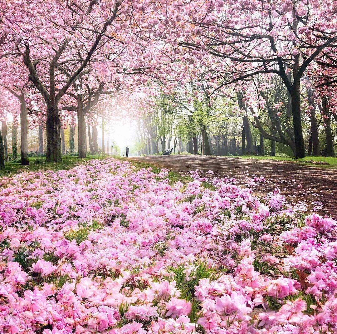 愛爾蘭旅遊景點 全國春天美景 Spring in Ireland