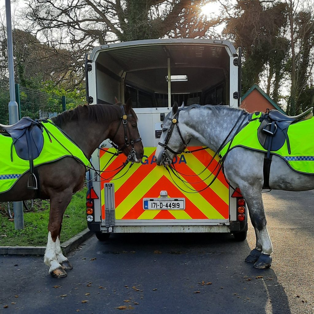 Garda horses Ireland