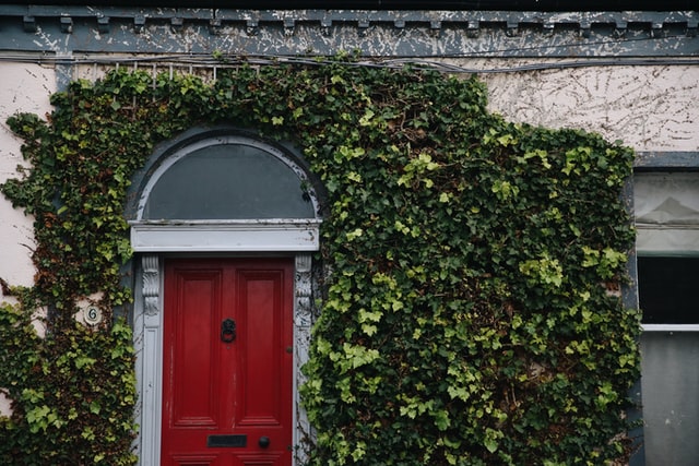 red door in Dublin